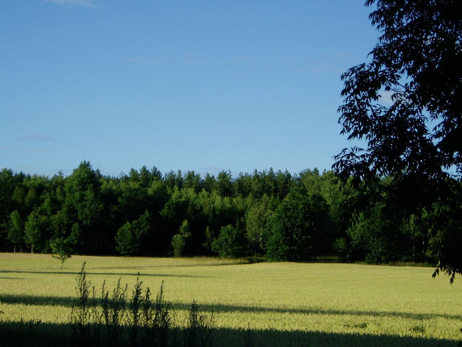 Lasta Gardshotell Strangnas Bagian luar foto